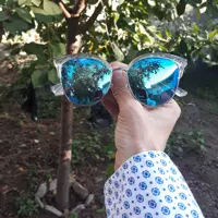 عینک آفتابی زنانه گربه ای آبی برند BOLON پلاریزه