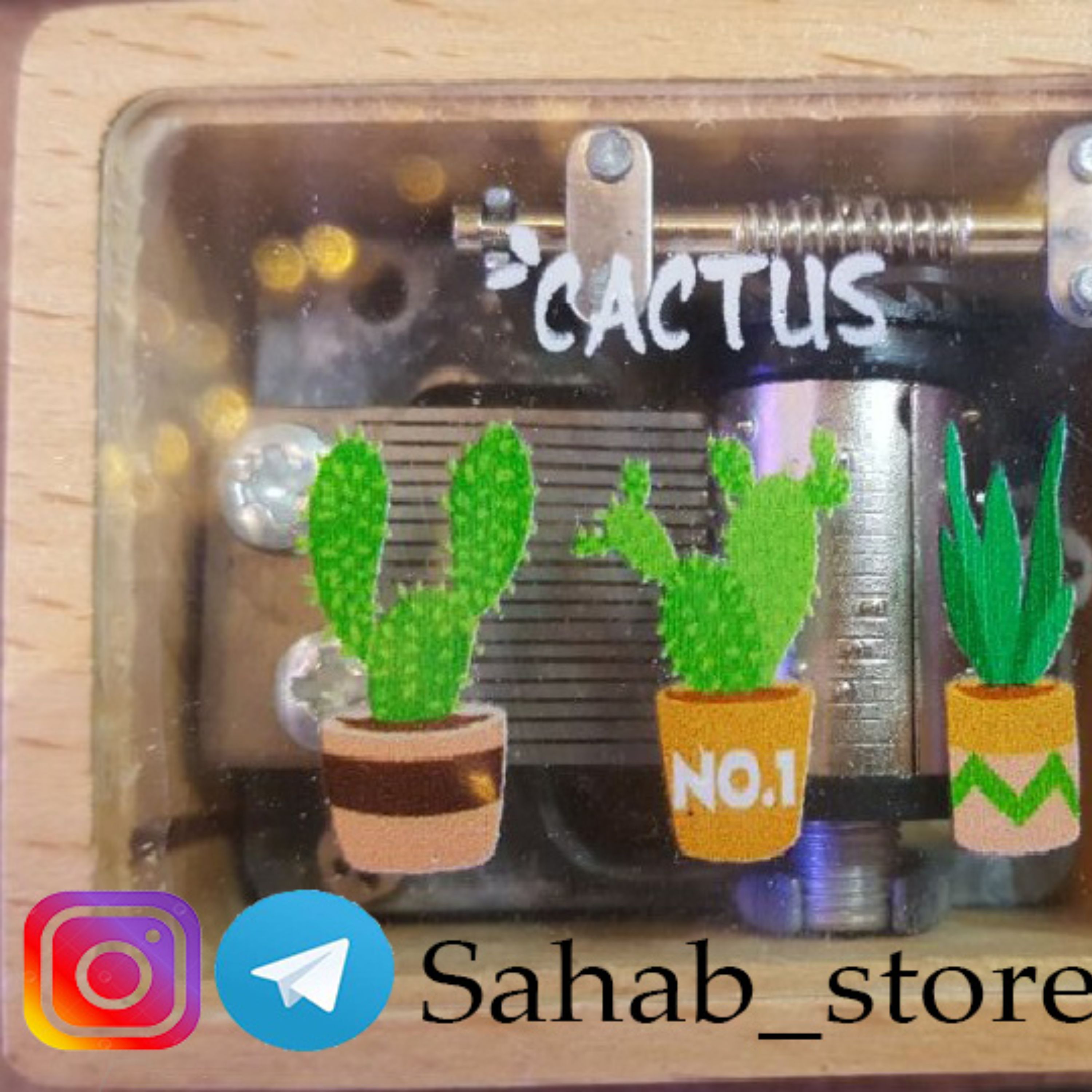 جعبه موزیکال هندلی طرح کاکتوس