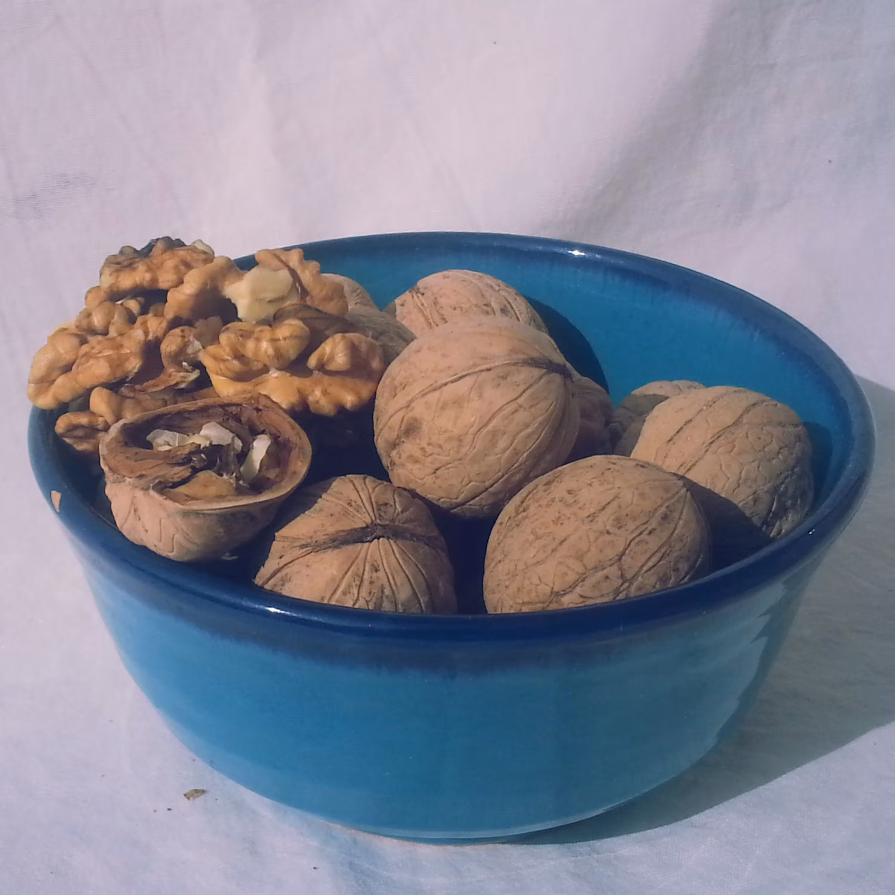 گردو سامان پوست کاغذی