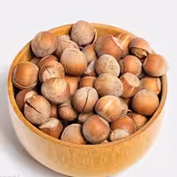 فندق خام تازه و درباز امسالی الموت (1000گرم)