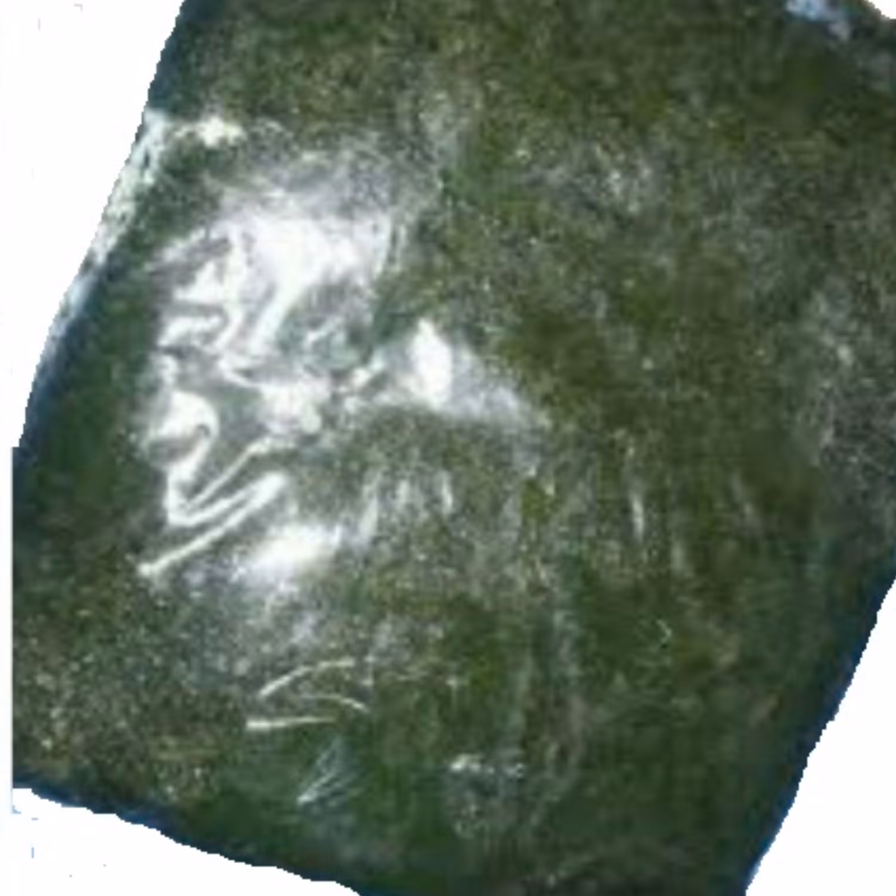 سبزی مرغ شکم پر 