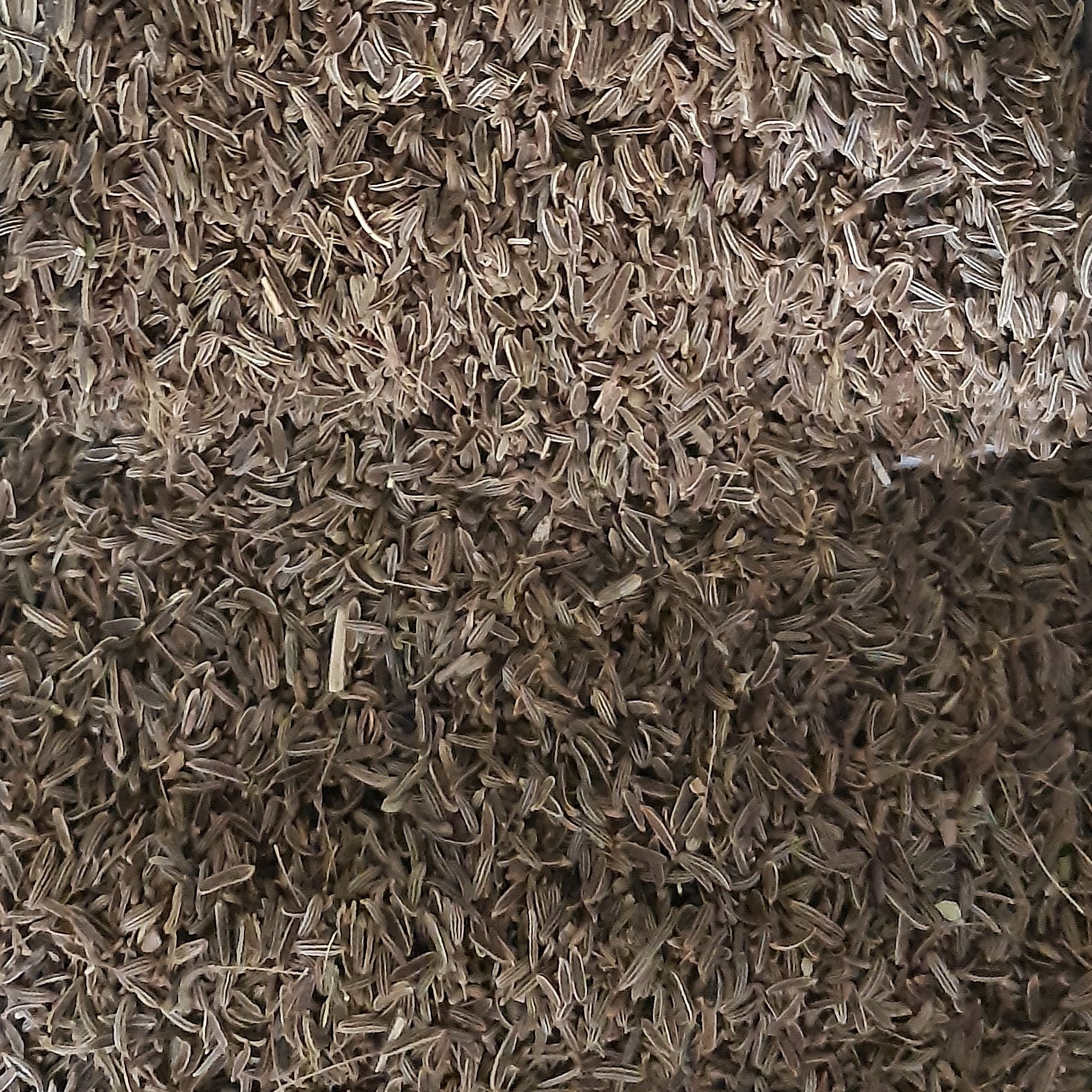 زیره سیاه اعلا 3 کیلویی