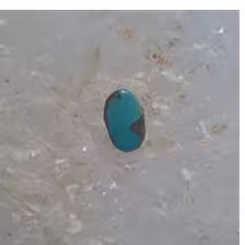 نگین فیروزه نیشابور کد 454