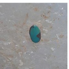 نگین فیروزه نیشابور کد 454