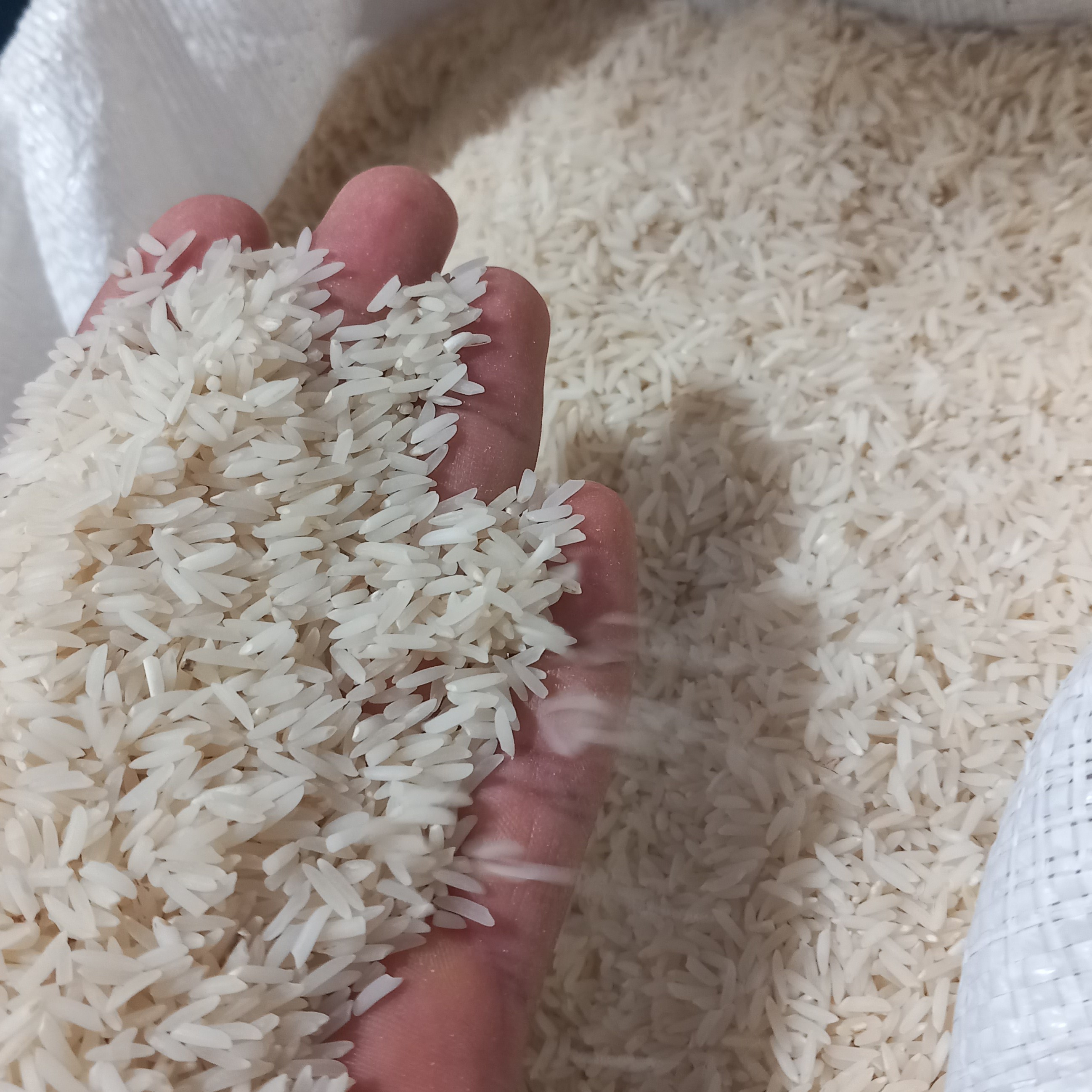 برنج طارم دمسیاه شمال بهترین برنج و درجه یک عالی با کیفیت 25 کیلویی