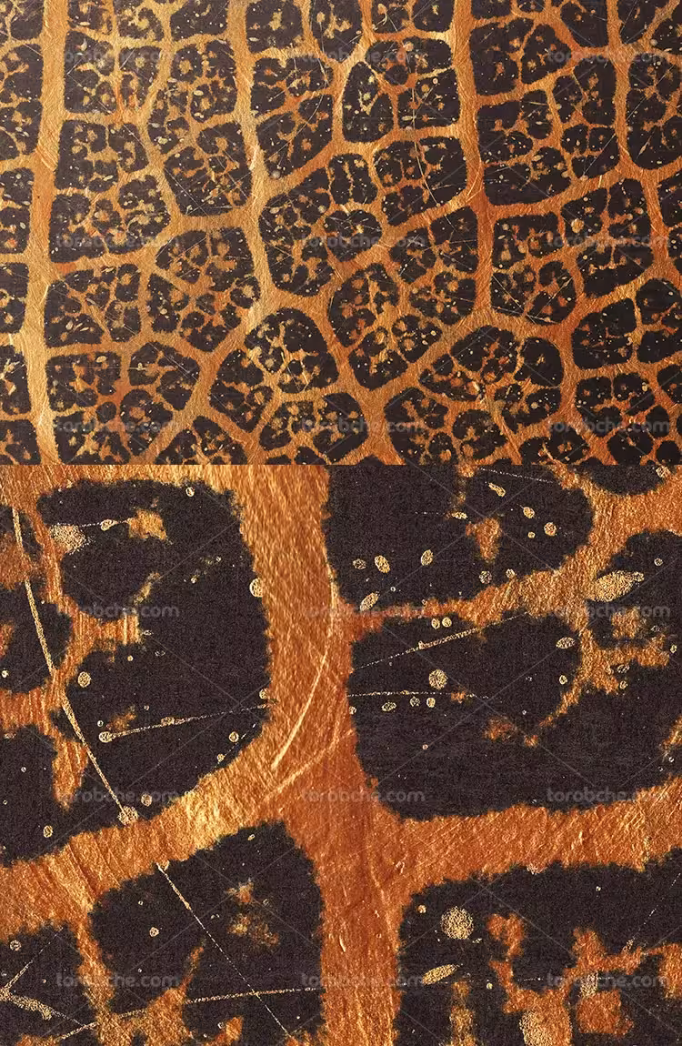 تکسچر و بکگراند پلنگی | گرافیک با طعم تربچه