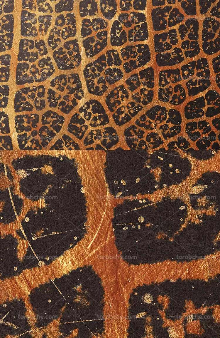 تکسچر و بکگراند پلنگی | گرافیک با طعم تربچه