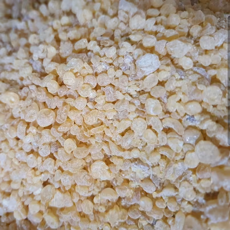 مصطکی گیاهی (اصلی) - 1 کیلو