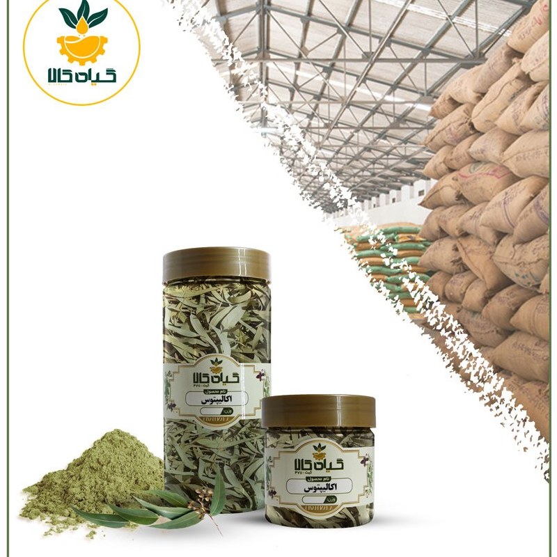 اکالیپتوس، بار امسالی و تازه(65گرمی )