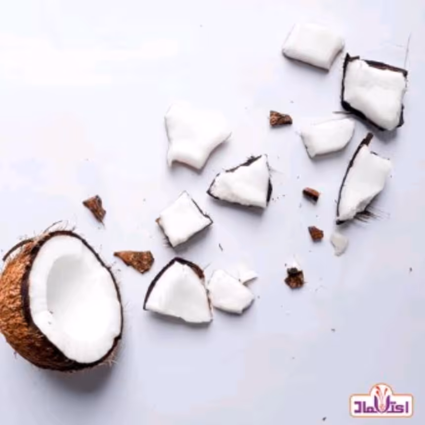 پودر نارگیل چرب 100 گرمی اعتماد