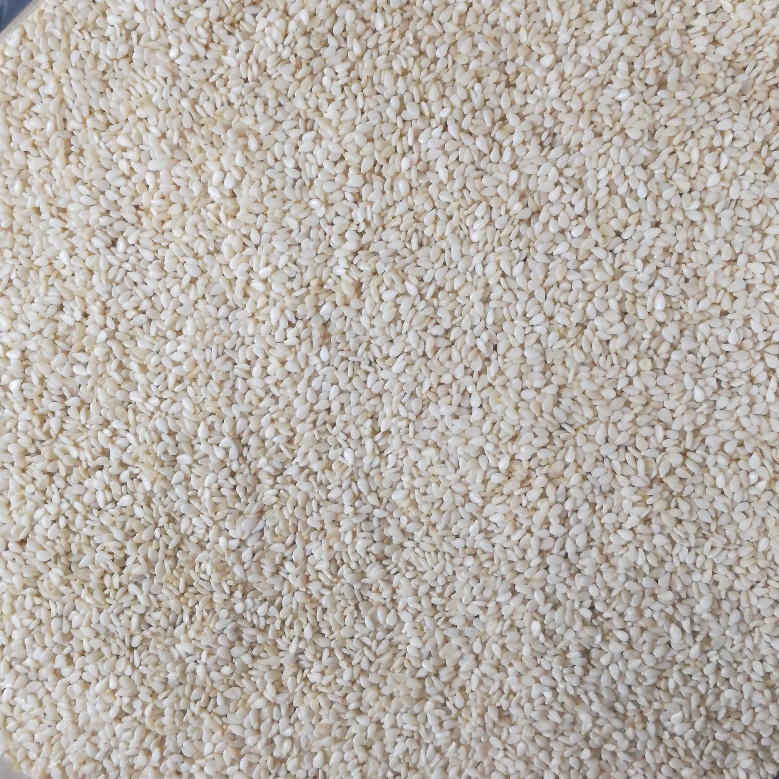 کنجد سفید (پوست کنده) 75 گرم