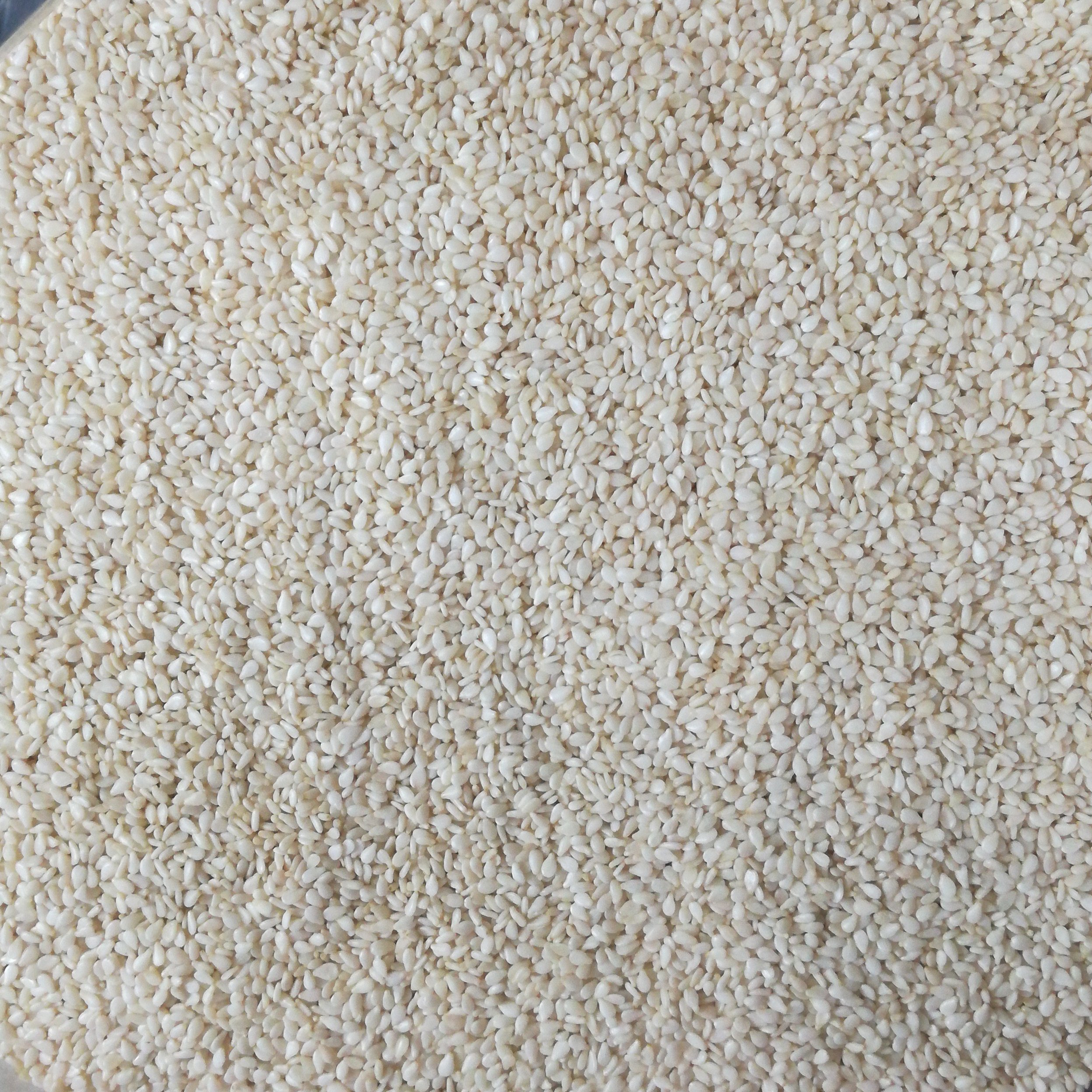 کنجد سفید (پوست کنده) 75 گرم