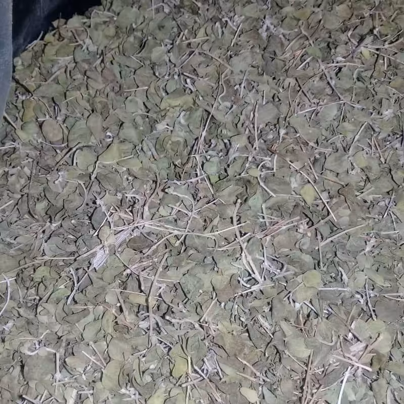 آویشن کوهی با عطر وطعم بسیار عالی، محصول امسال، بهترین دمنوش با مناسبترین قیمت