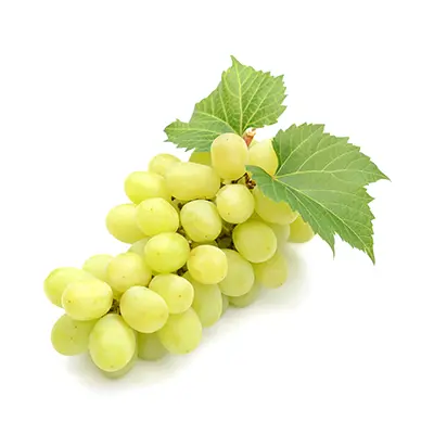 خرید نهال انگور حسینی