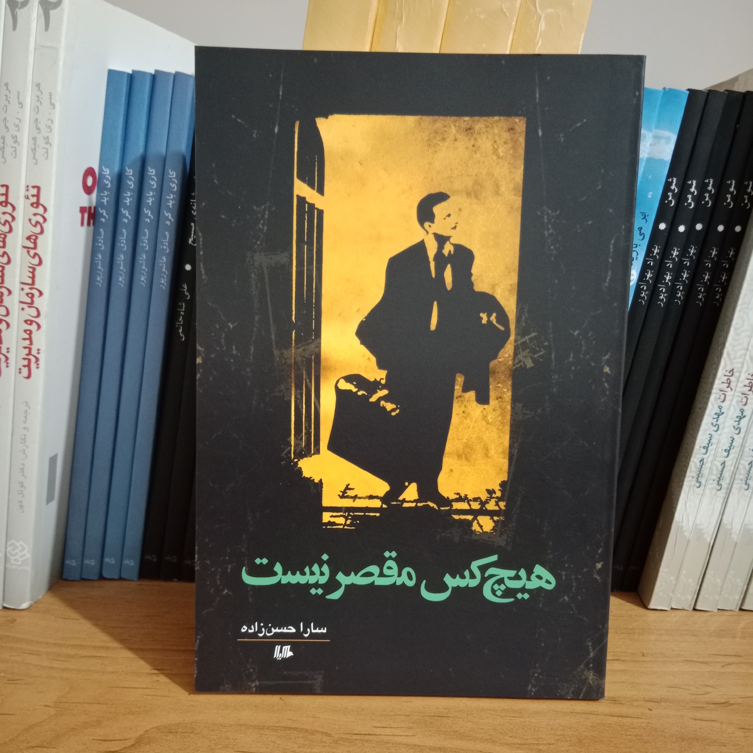 کتاب هیچ کس مقصر نیست 