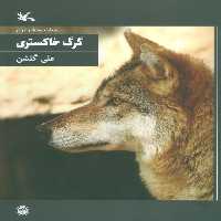 گرگ خاکستری (حیات وحش ایران) - ناشربوک | خرید آنلاین کتاب