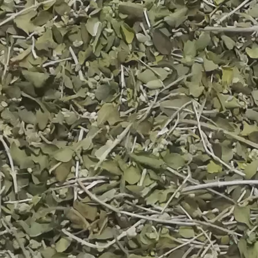 آویشن شیرازی برگ پهن کوهی (200گرم) طبیعی و خوش عطر 