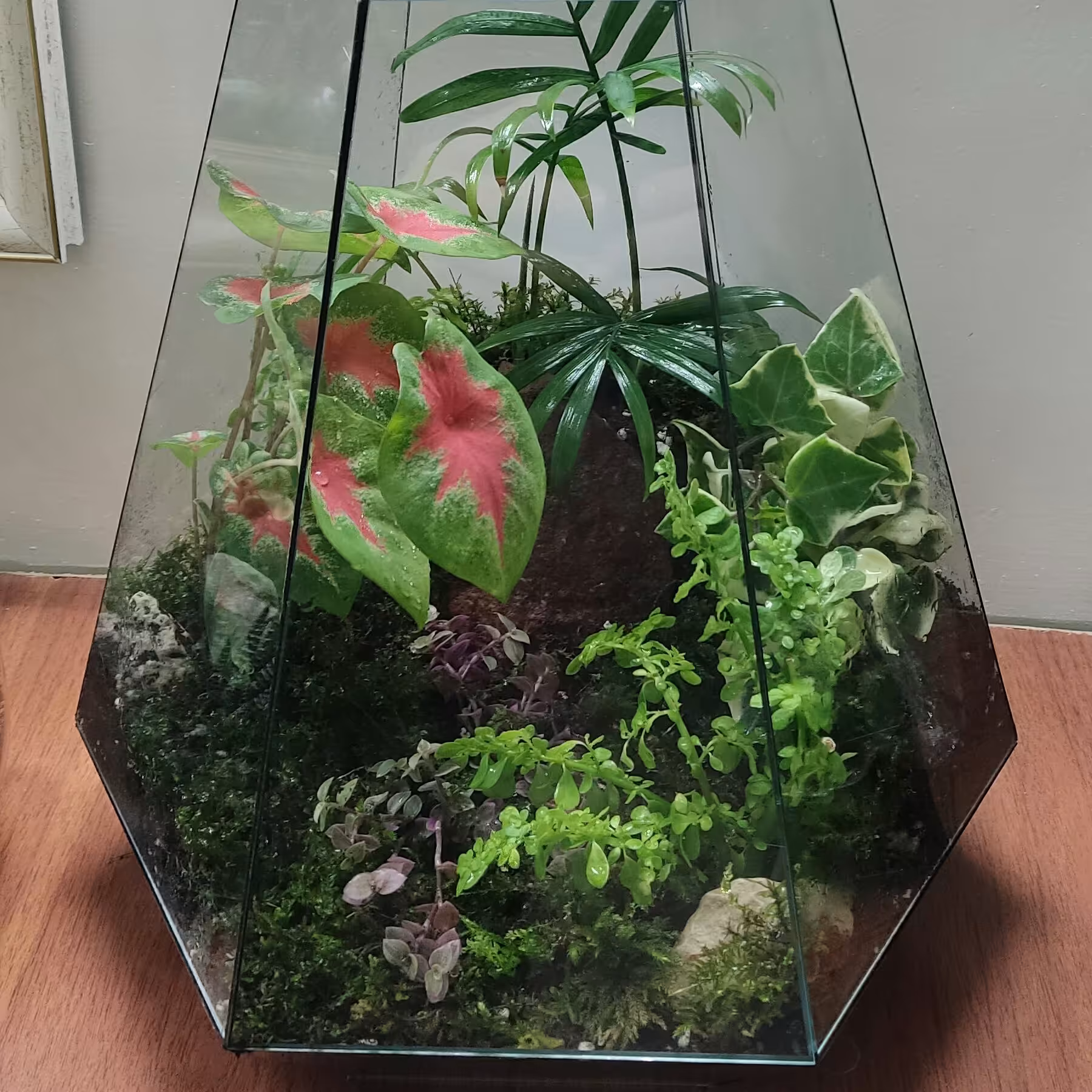 تراریوم  کد 200