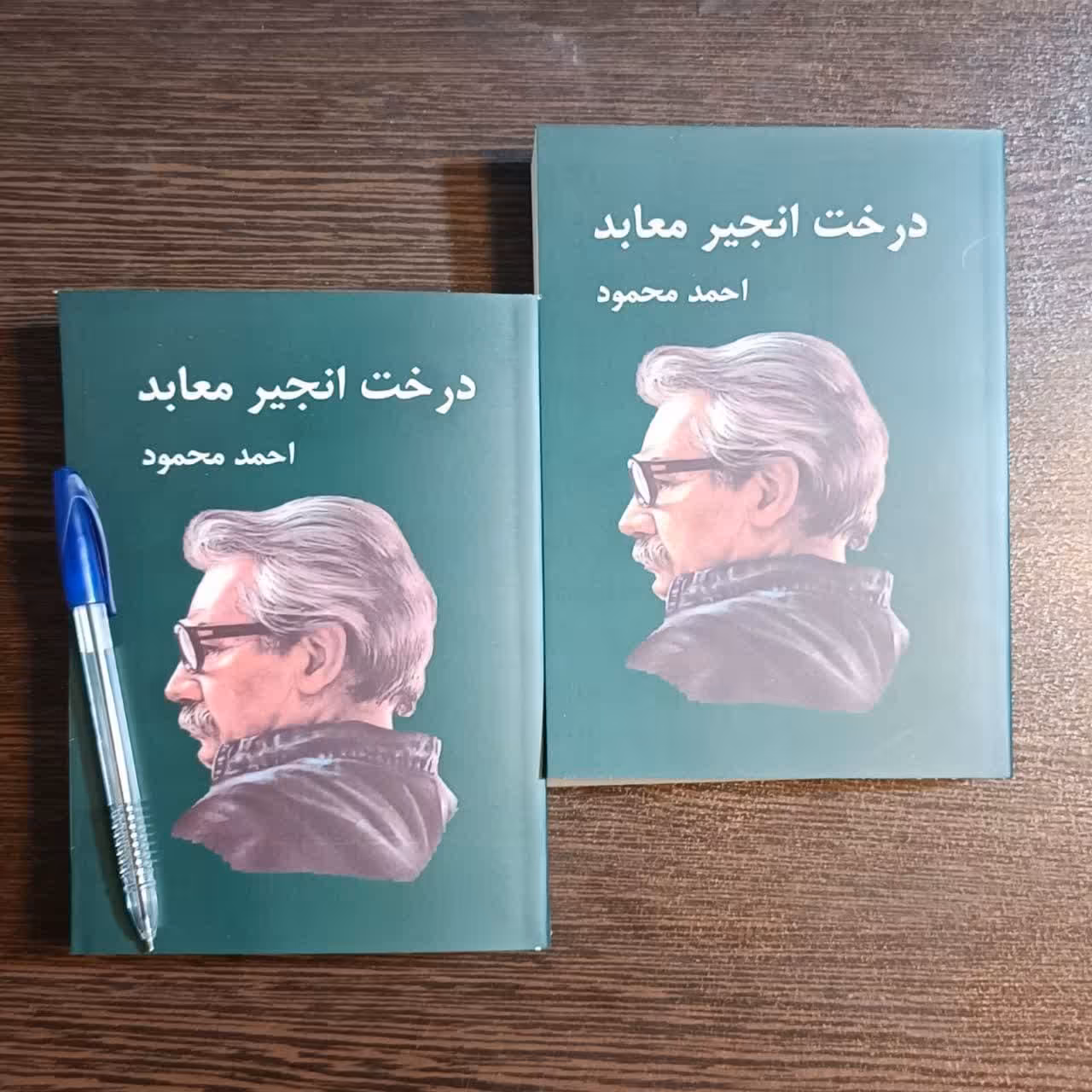 کتاب درخت انجیر معابد 2 جلدی  اثر  احمد محمود