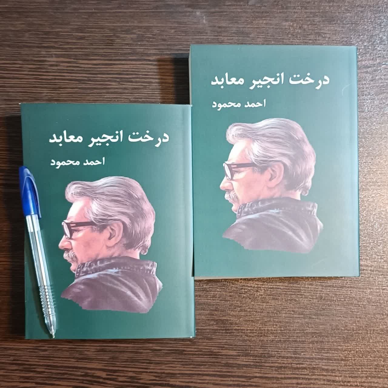 کتاب درخت انجیر معابد 2 جلدی اثر احمد محمود