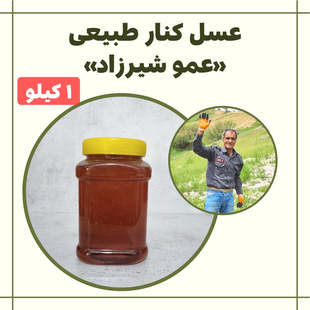 عسل کنار خالص (یک کیلو)