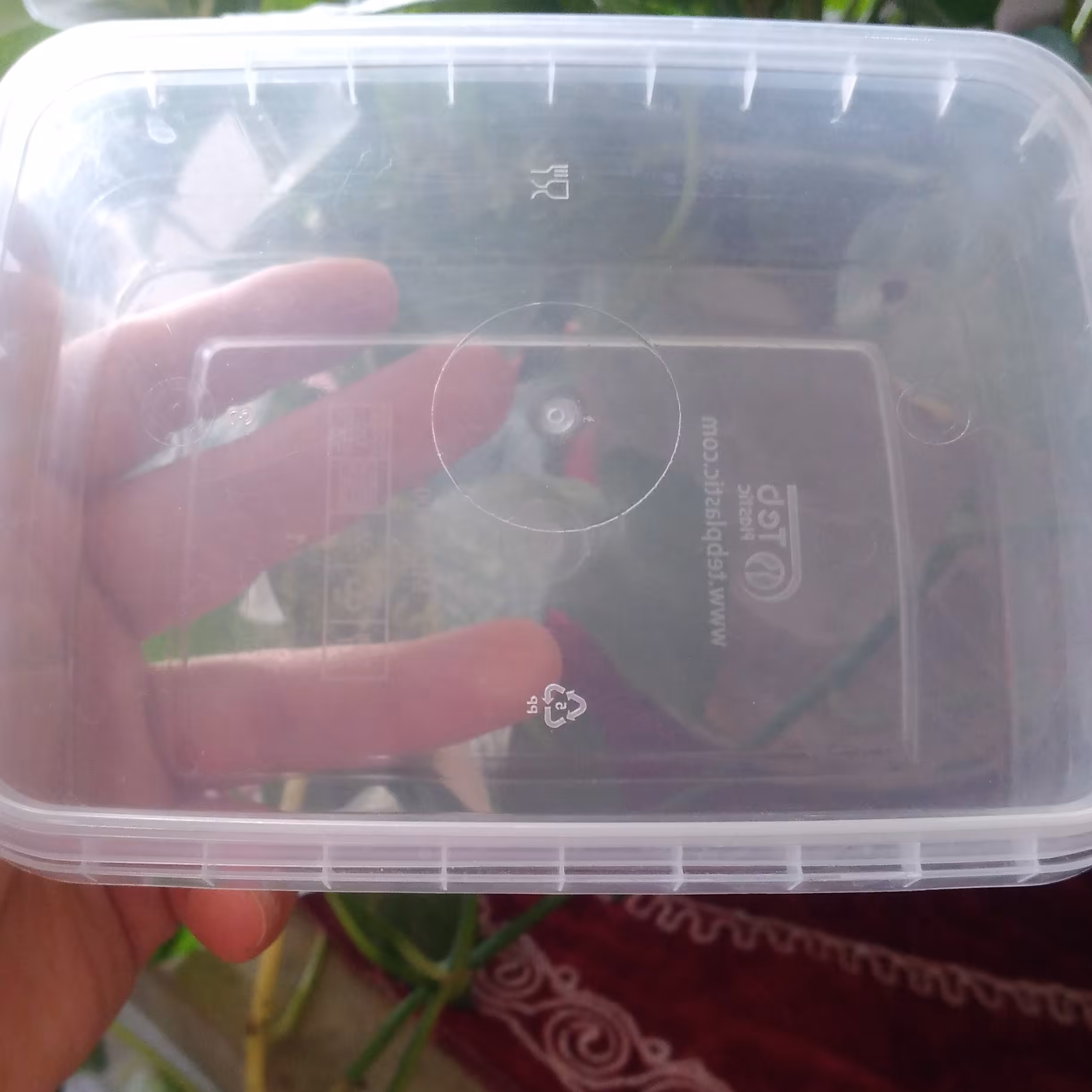 ظروف فریزری 400 سی سی