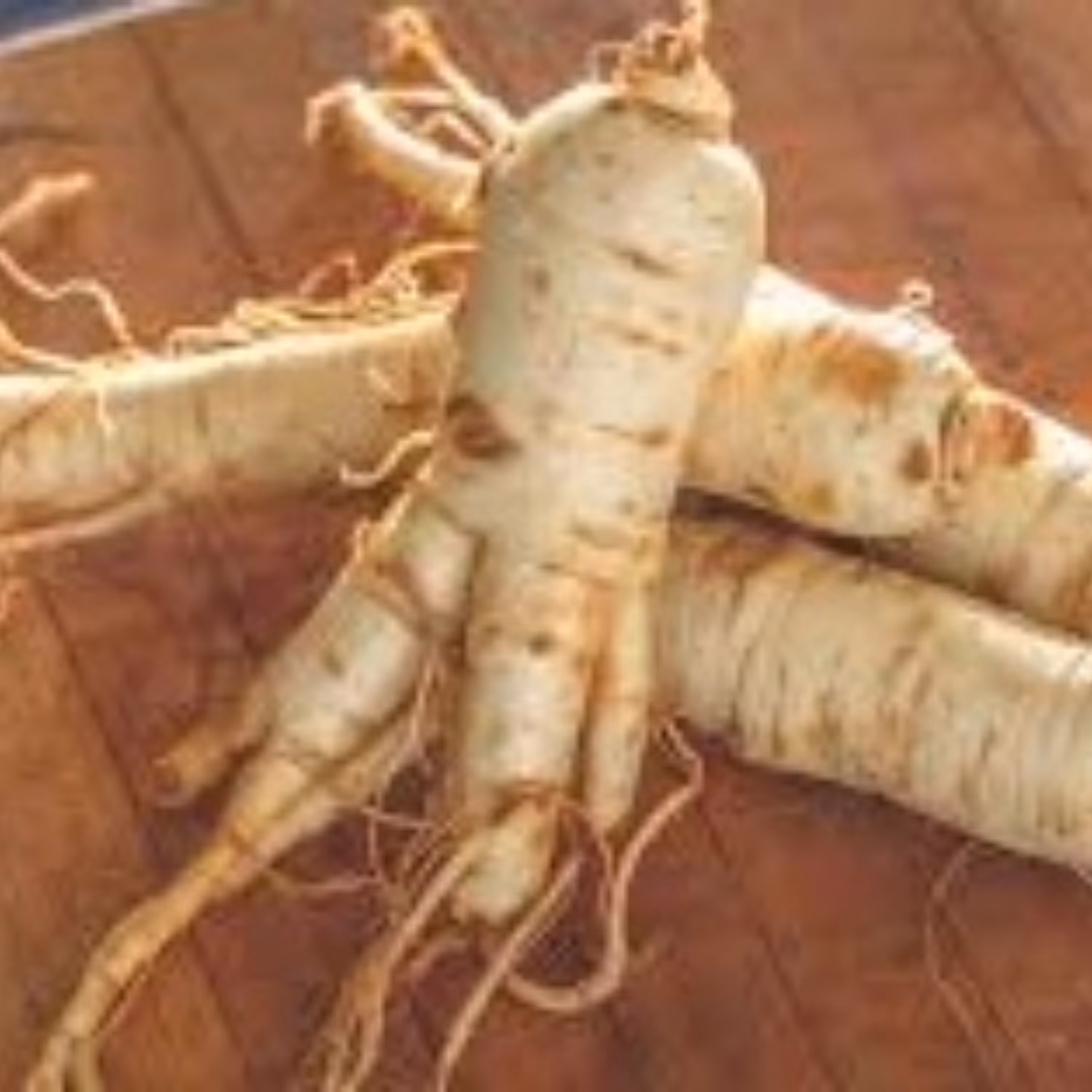 جنسینگ (40 گرم)