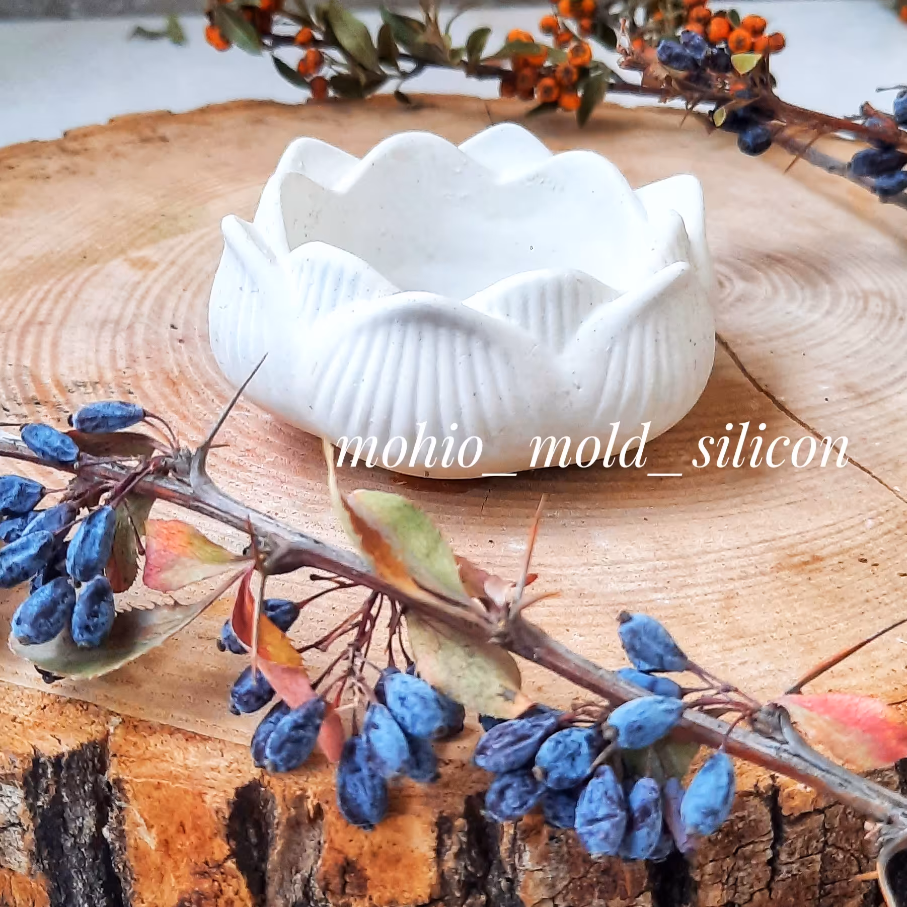 جاشمعی نیلوفر