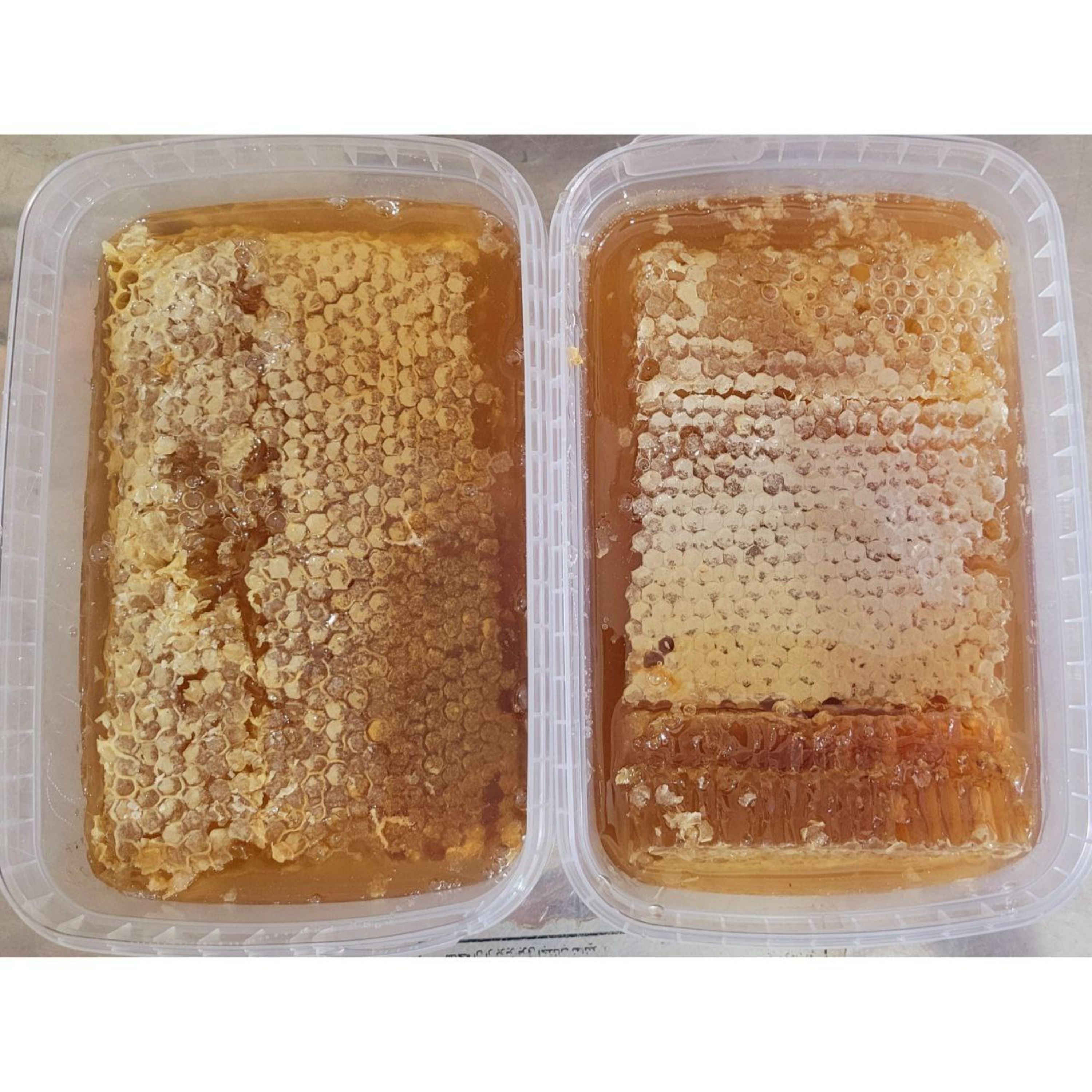 عسل گون آویشن موم دار(مستقیم از زنبور دار)