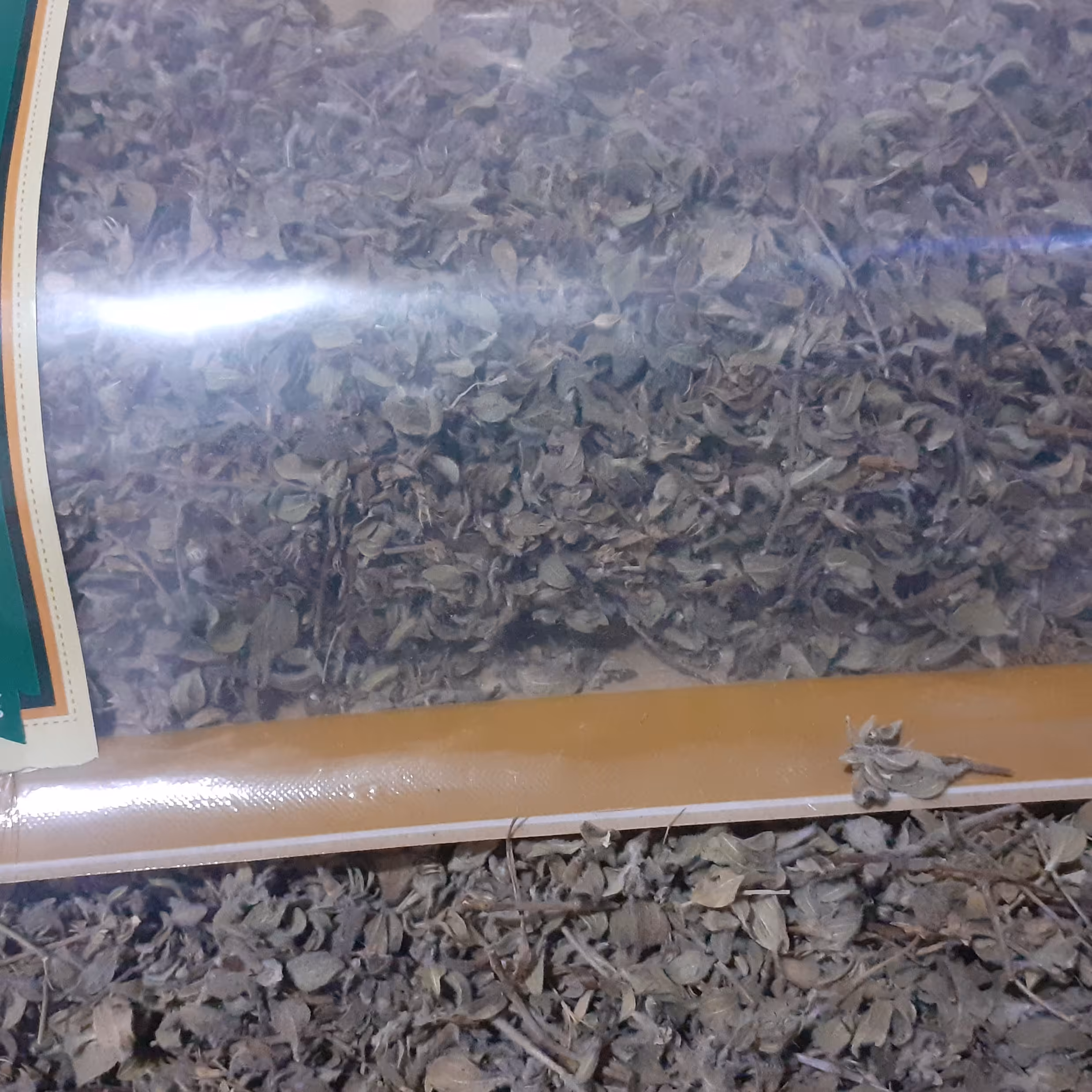 آویشن کوهی مرزنجوش