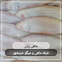 ماهی زبان تازه صید روز (پک یک کیلویی)بسیار لذیذ مناسب برای سرخ کردن