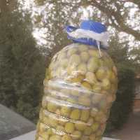 زیتون  خوش طعم 2 و نیم کیلویی ممتاز 