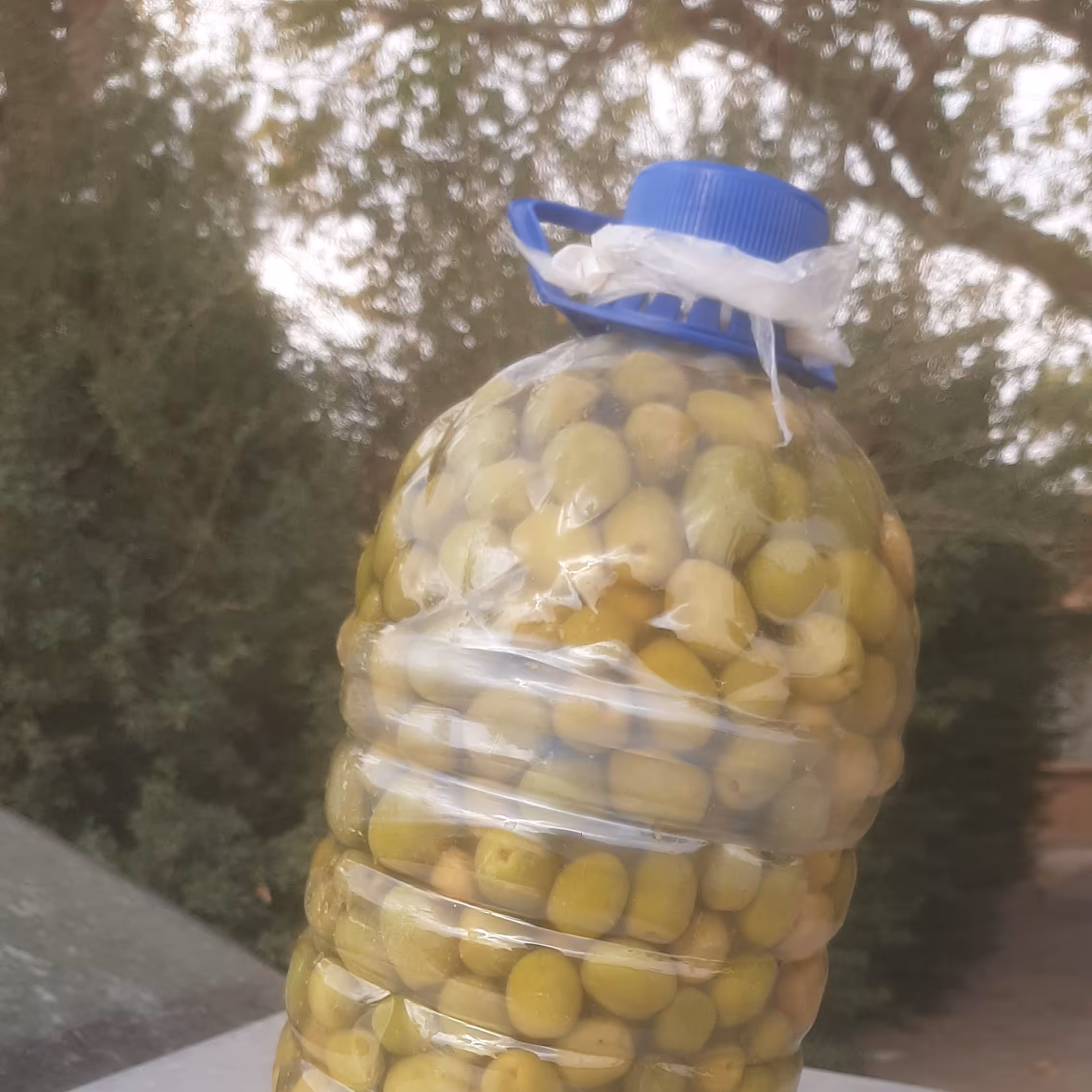 زیتون  خوش طعم 2 و نیم کیلویی ممتاز 