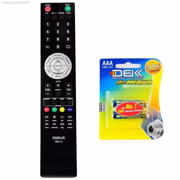 کنترل اسنوا T601