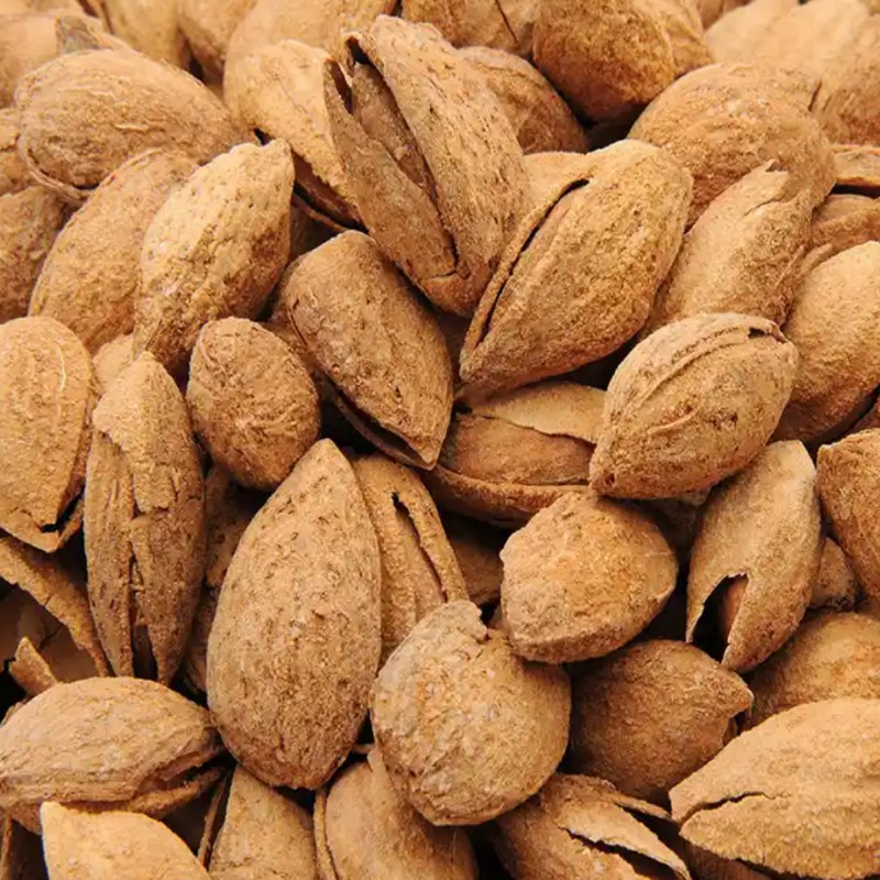 بادام پوست کاغذی برشته تازه و خوشمزه(500 گرم)
