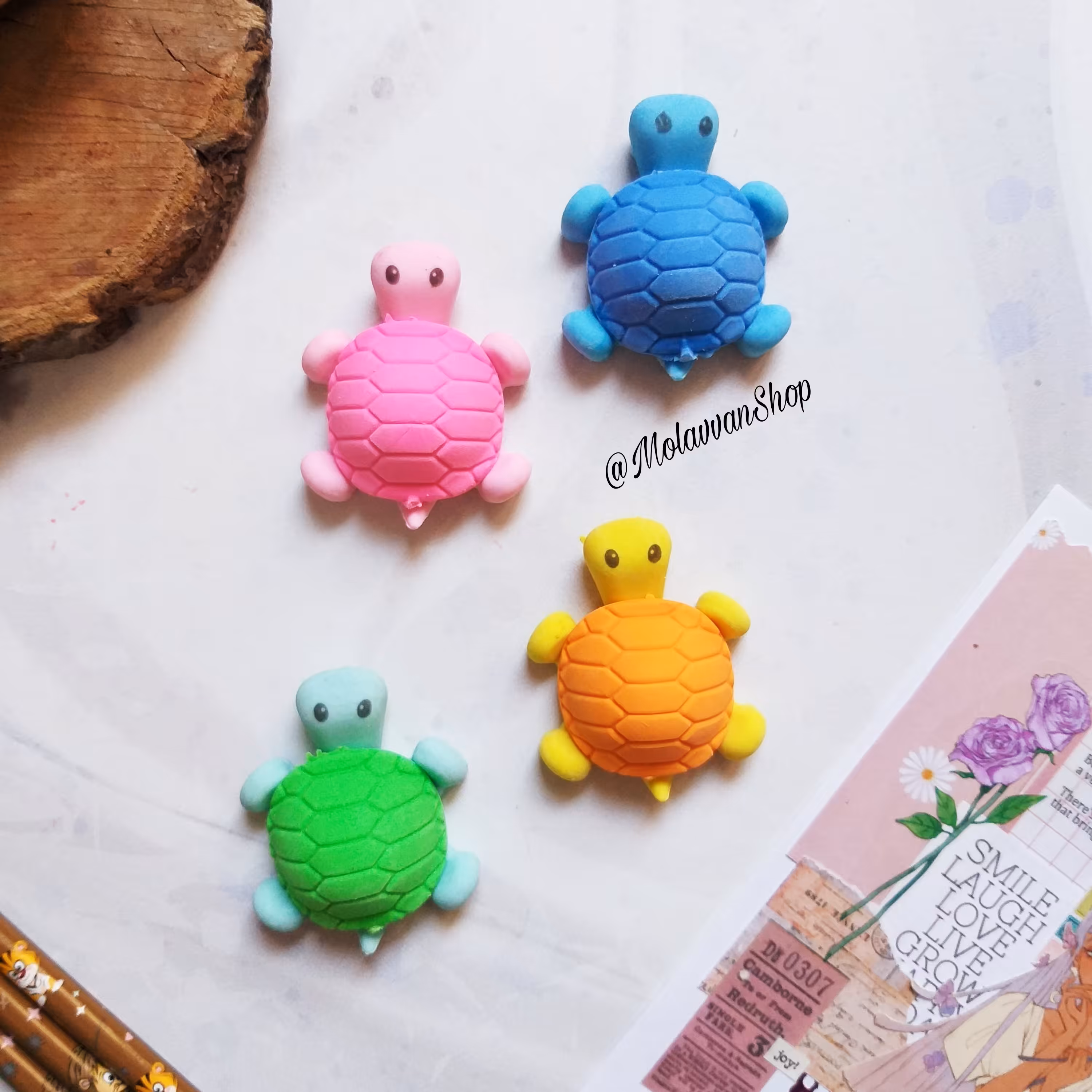 پاکن فانتزی طرح لاک پشت 