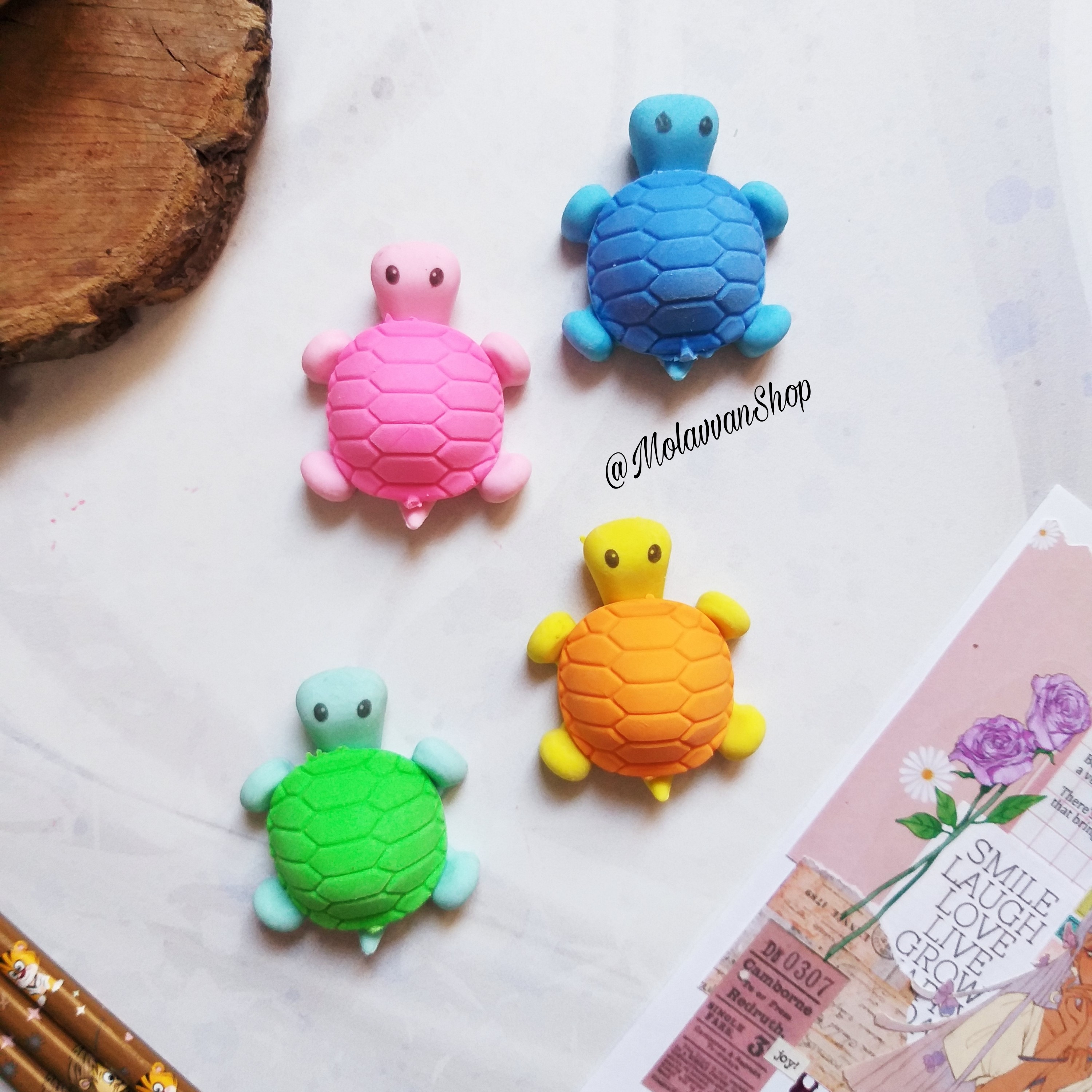 پاکن فانتزی طرح لاک پشت 