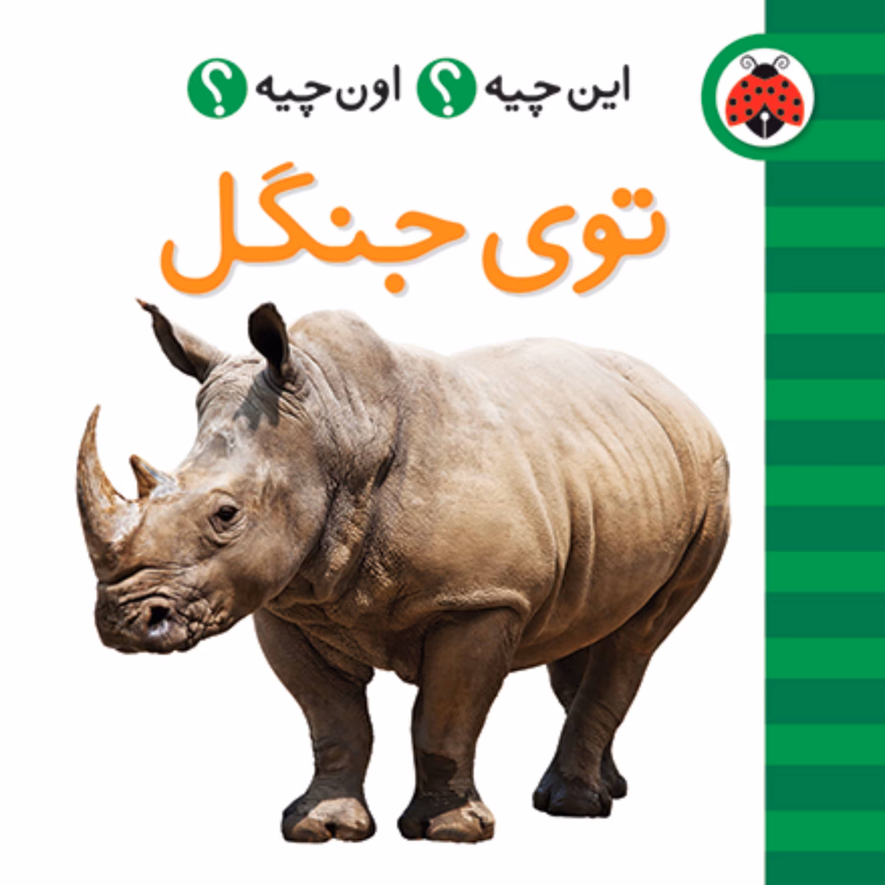 این چیه اون چیه توی جنگل