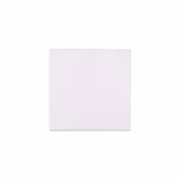 مکانیزم یک پل پهن سفید شایلین | قیمت | نت‌ران