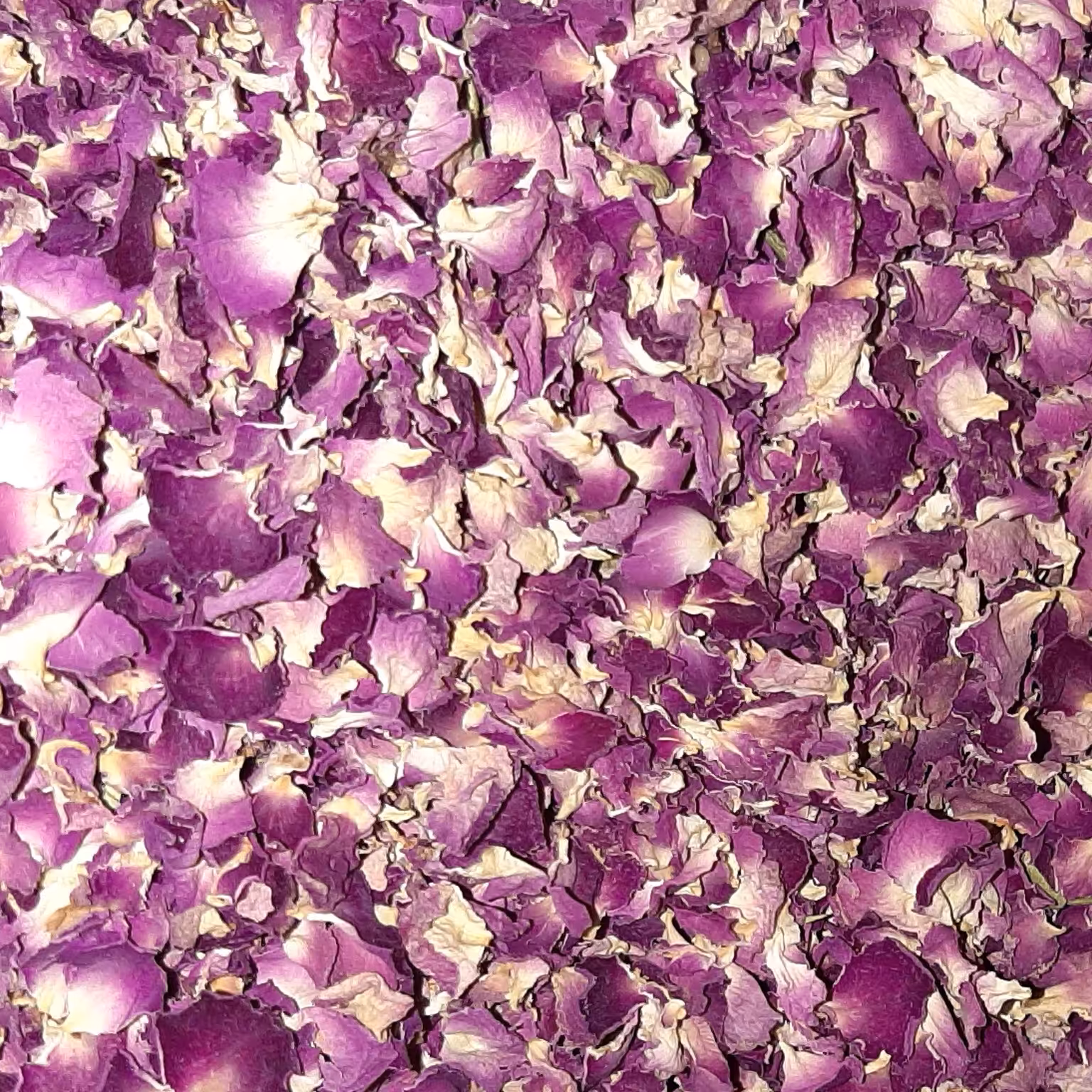 گلسرخ مربایی آذر شهر درجه یک و اعلا  ( 50 گرمی ) 