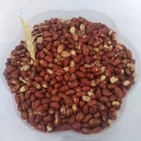 مغز بادام زمینی شور درجه 1 تضمین کیفیت