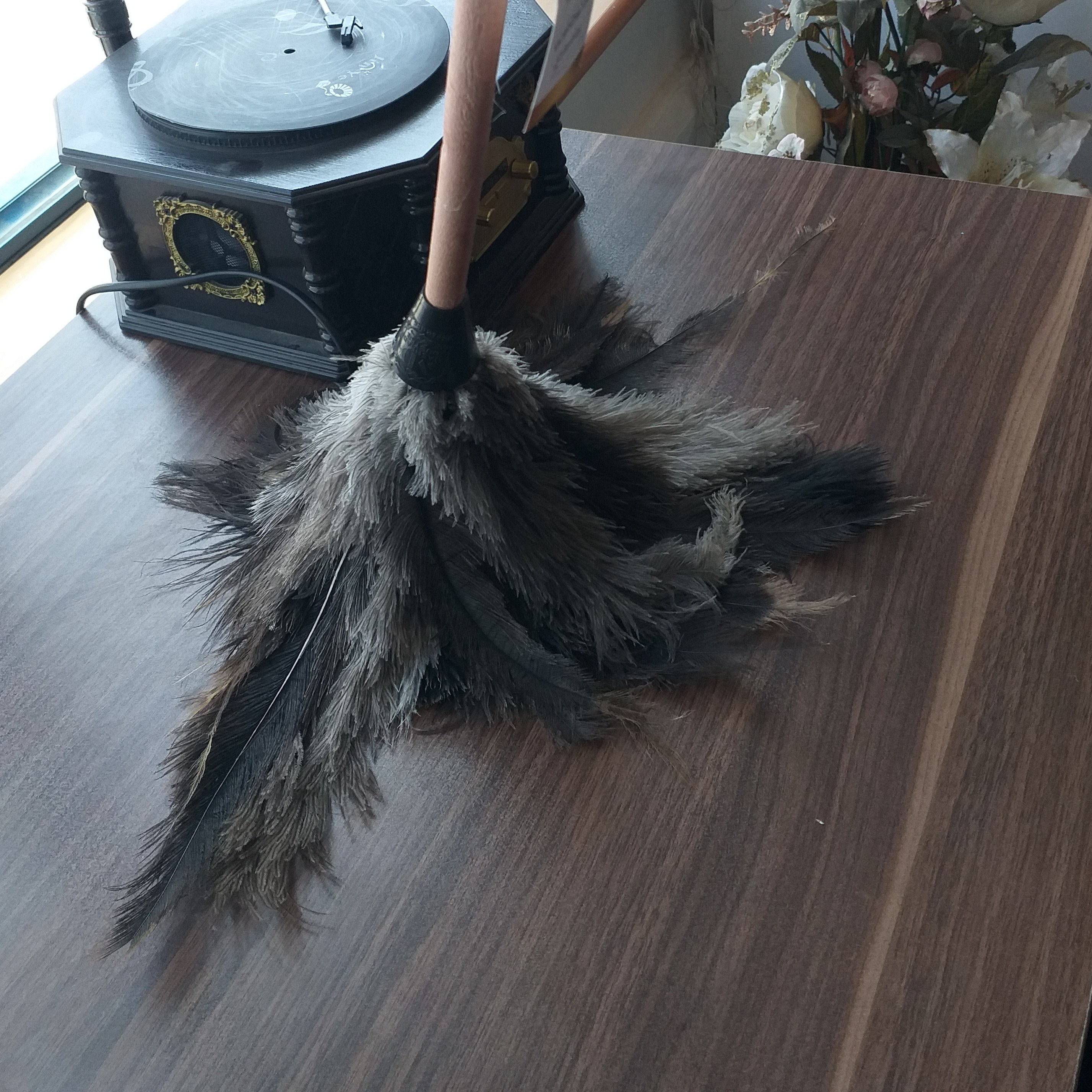 چوب پر شترمرغ