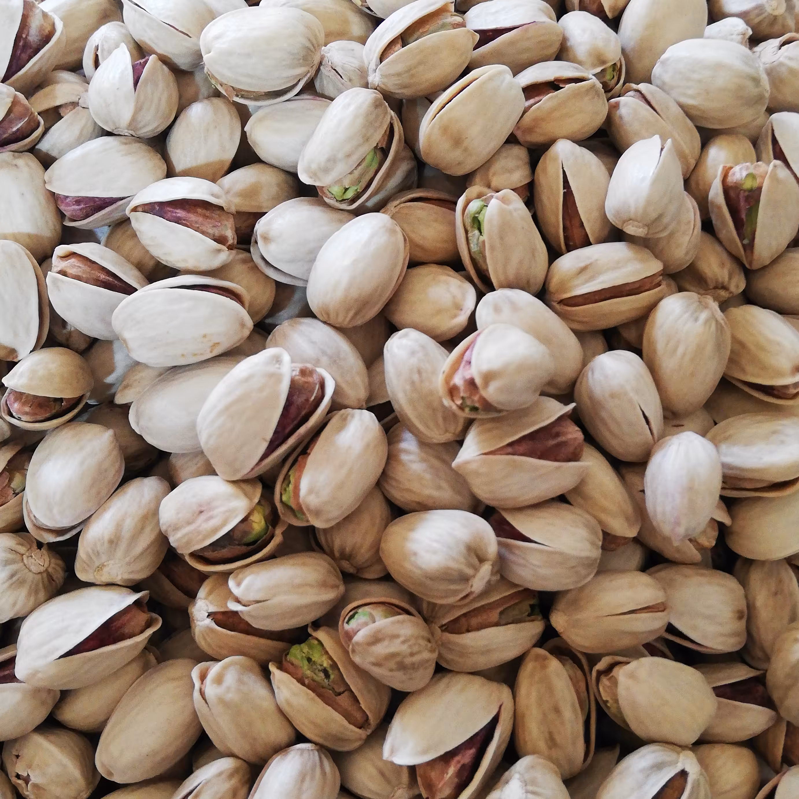 پسته خام  کله قوچی یک کیلوگرمی