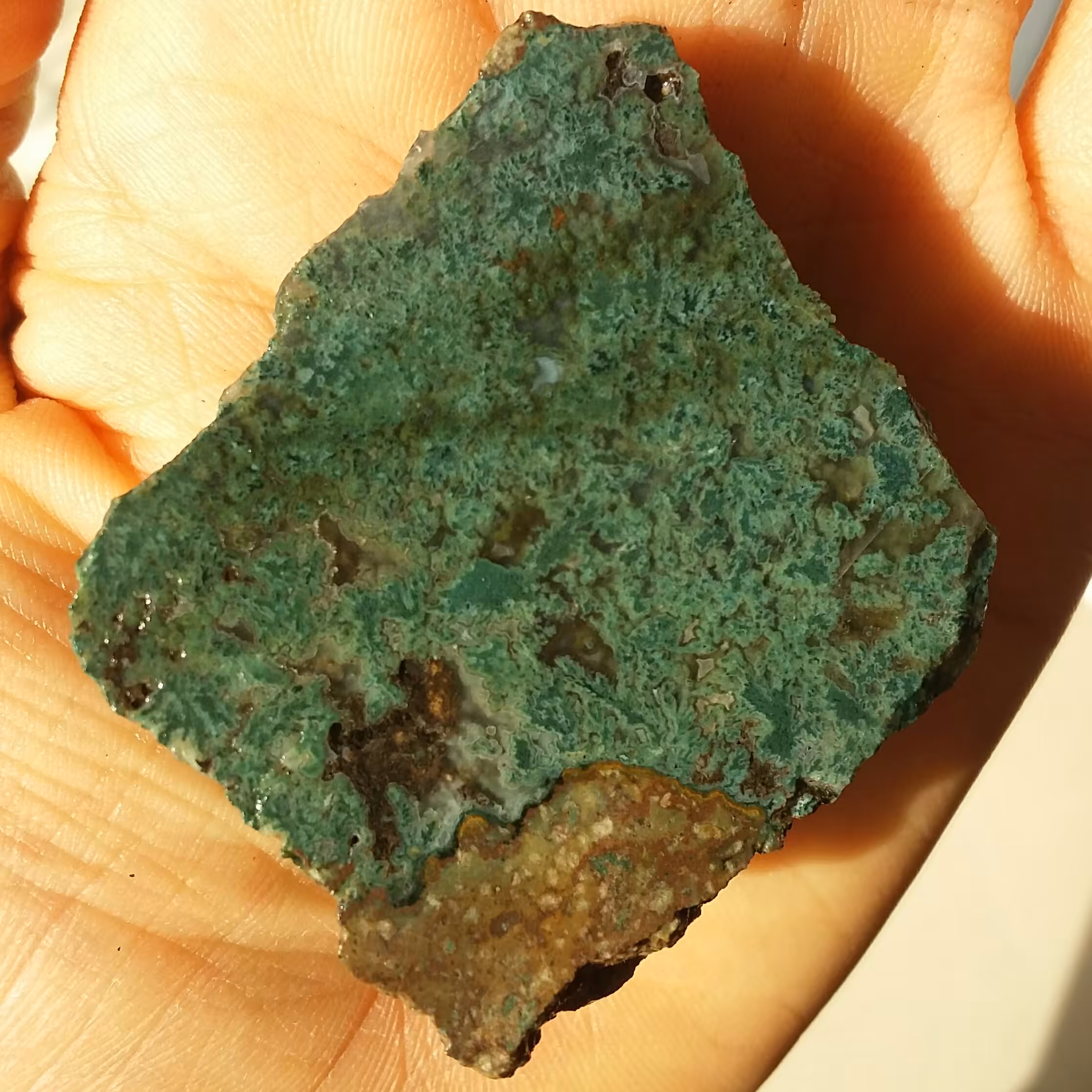 اسلایس سنگ راف شجر سبز بی نظییییییر خااااص 100 در 100 طبیعی دیدنی