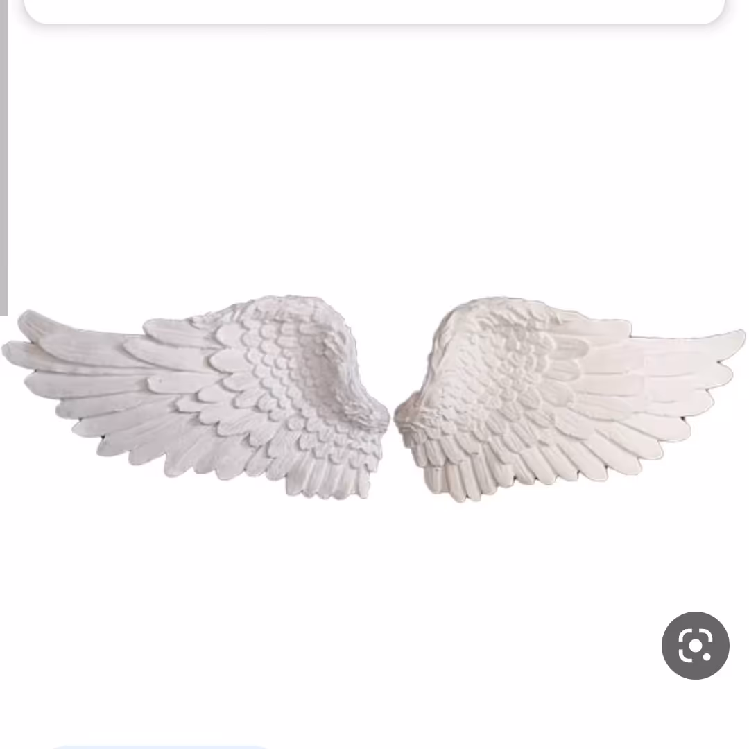 بال فرشته رنگ شده