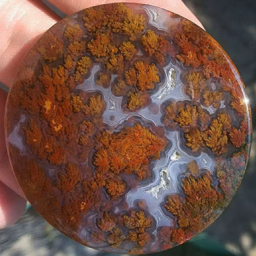 نگین مدالی درشت و کلکسیونی