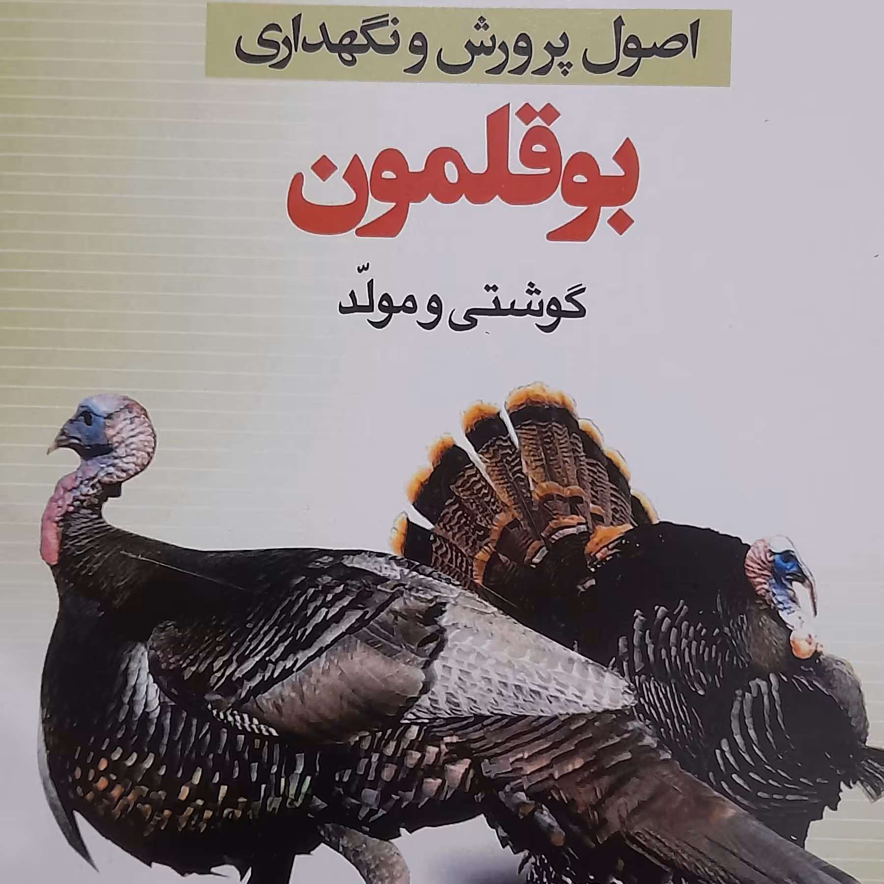 کتاب  اصول پرورش ونگهداری بوقلمون گوشتی ومولد