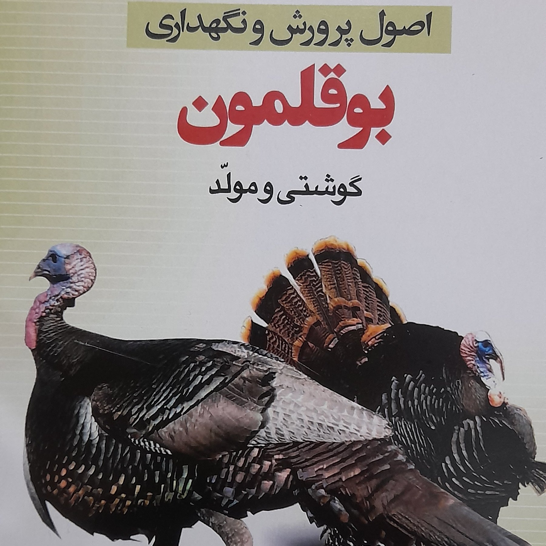 کتاب  اصول پرورش ونگهداری بوقلمون گوشتی ومولد