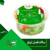 سالاد فصل بسته بندی 100گرمی برگ ایران