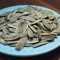 تخمه نمکی بیجار